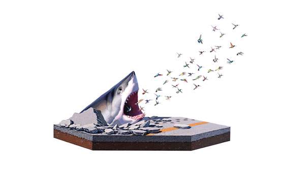 あなたのためのイラスト 最高のかっこいい リアル ジョーズ サメ イラスト