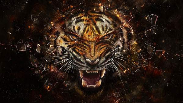 虎の顔のアップを描いた迫力満点のイラスト壁紙画像