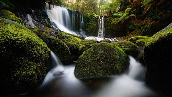 「美しい　滝　苔」の画像検索結果