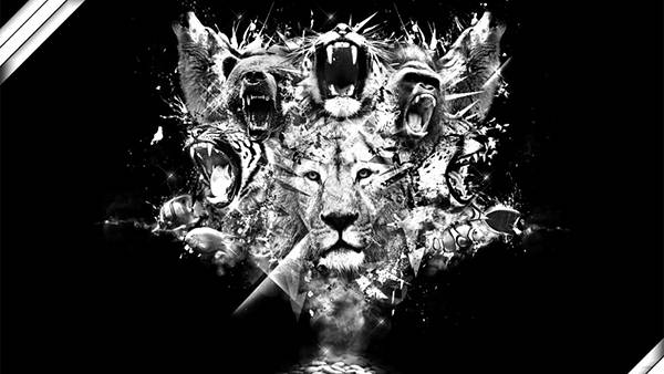 ライオンのイラストのモノクロ・白黒写真の壁紙