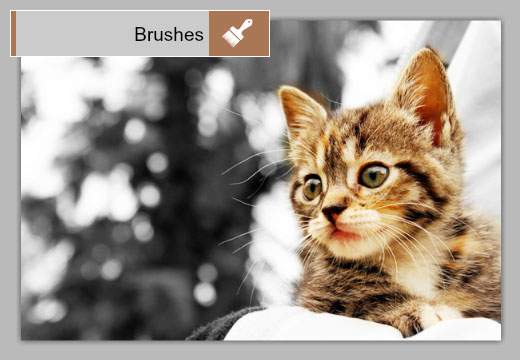 Brushes：マウスでなぞって効果をつける