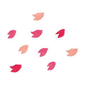 桜のイラスト「桜吹雪」
