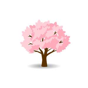桜-木