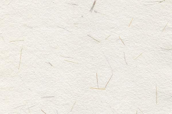 High Resolution Paper Background Texture