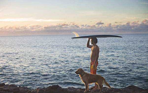 サーフボードを頭に乗せて犬と浜辺を散歩する男性の壁紙画像