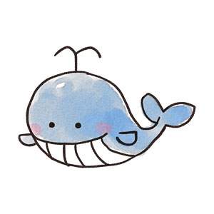 クジラのイラスト