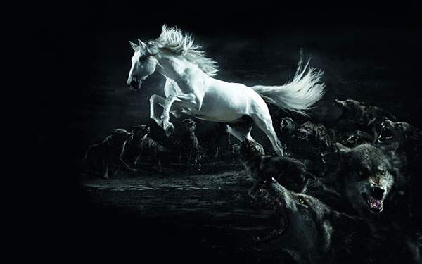 狼の群れの中を駆け抜ける白馬のかっこいいイラスト壁紙画像