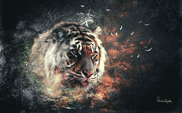 虎の頭をグランジ感のあるデザインで描いたイラスト壁紙画像