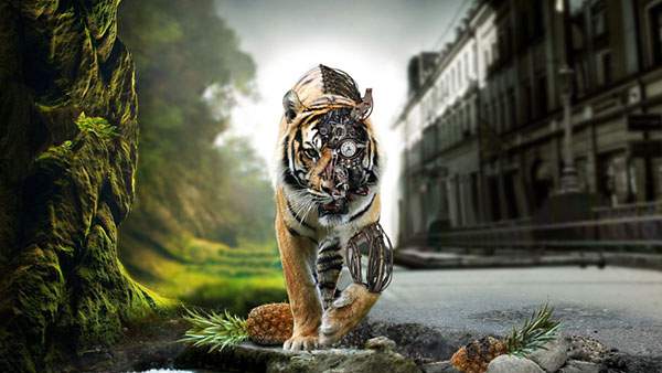 Wallpaper Tiger Illustration 07 Switchbox