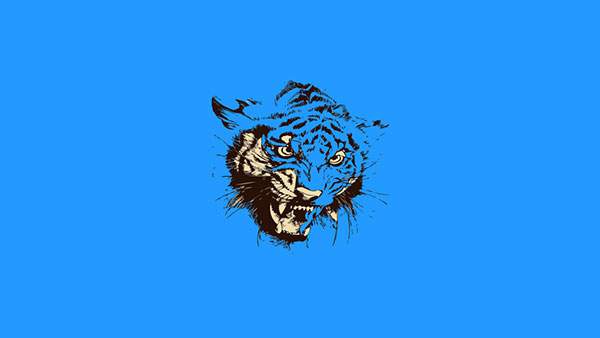 ブルーをバックに虎の顔を描いたシンプルでかっこいいイラスト壁紙画像