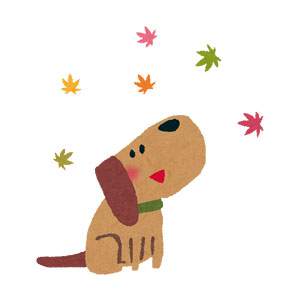 紅葉のイラスト「犬」