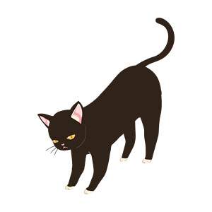 無料イラスト素材 かわいい猫画像まとめ 黒猫 三毛猫 子猫 Switchbox