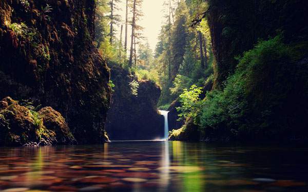 森の奥深くにある滝を撮影した美しい写真壁紙画像