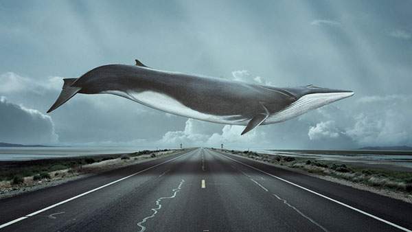 どこまでもまっすぐ進む道路の上を飛んで横切るクジラのイラスト画像