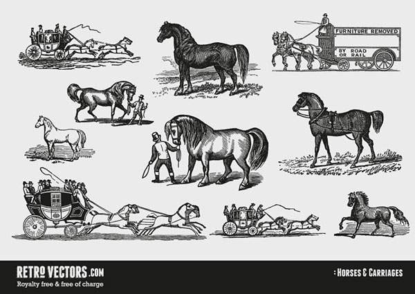 Horses & Carriages