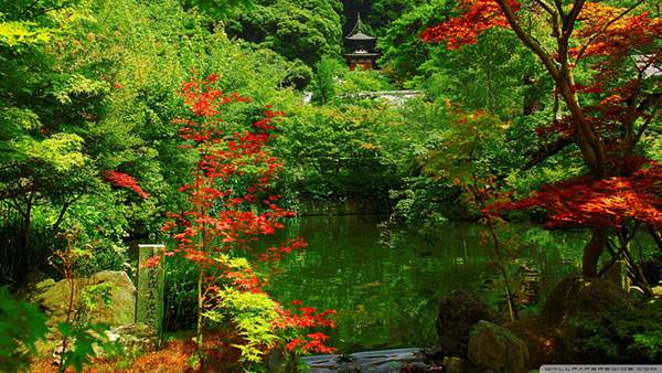 京都の紅葉を撮影した綺麗な写真壁紙画像