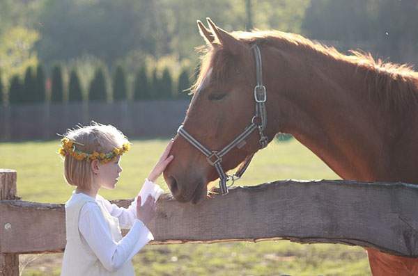 馬の鼻を撫でる少女の可愛いフリー写真素材