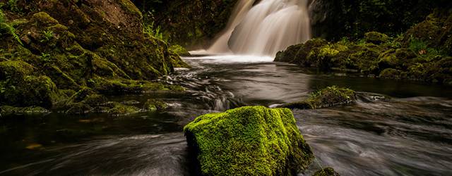 無料壁紙 渓流の風景を撮影した高画質な写真画像まとめ 滝 苔 森