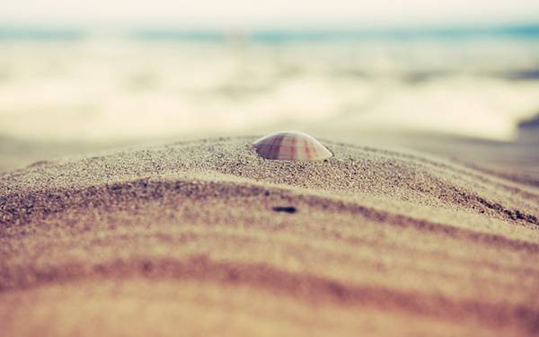 03.砂の中の貝殻を撮影した可愛い写真壁紙画像