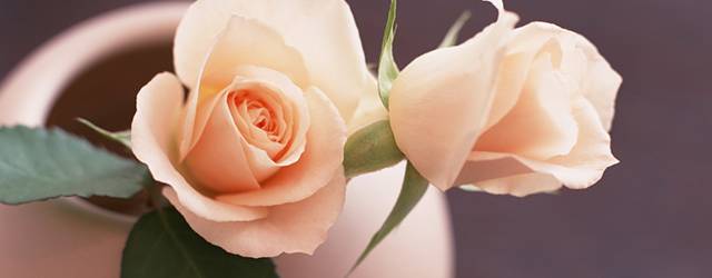 無料壁紙 花瓶に挿した花の美しい写真画像まとめ 薔薇 チューリップ