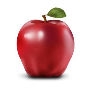 無料イラスト素材 林檎 青リンゴの可愛い画像まとめ りんご狩り 芯 断面 Switchbox