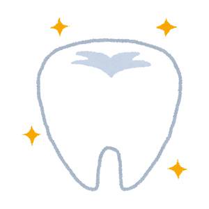歯のイラスト「健康的な歯」