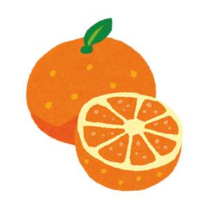 みかん・オレンジ 丸ごと＆カットのイラスト（フルーツ）