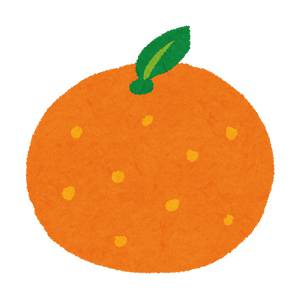 みかん・オレンジのイラスト（フルーツ）