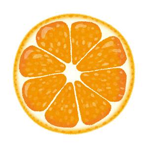 オレンジ・みかんの断面のイラスト