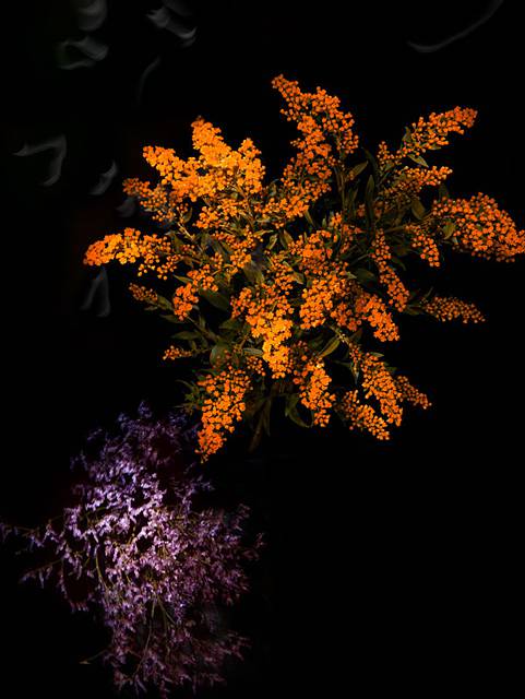 花束を夜空の花火に見立てた美しい写真作品 - 02