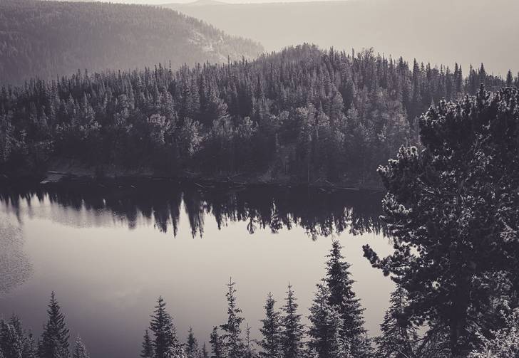 森と湖のクールなモノクロ写真