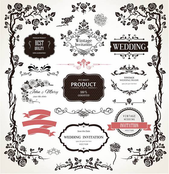 Decorative floral wedding design elements vector